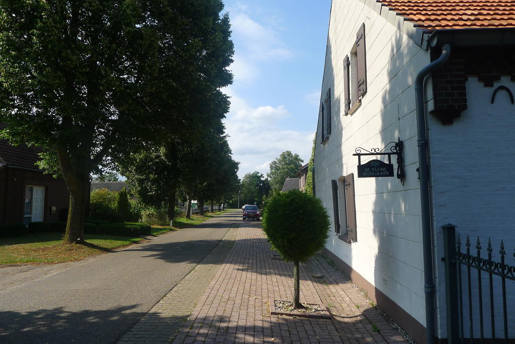 De Kleine Wijngaard