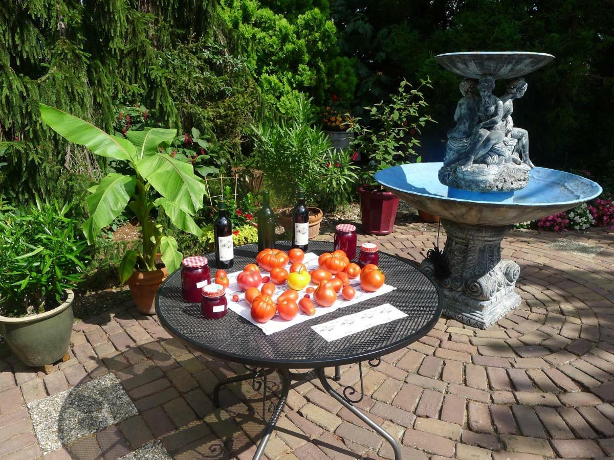 Frühstückspension De Kleine Wijngaard *